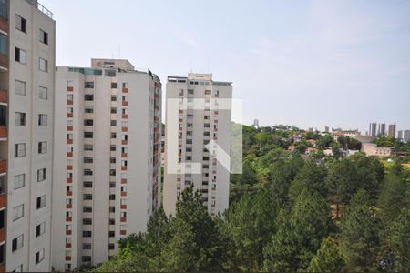 Vista da Suíte de apartamento para alugar com 3 quartos, 90m² em Barro Branco (zona Norte), São Paulo