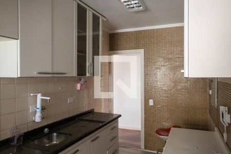 Apartamento à venda com 254m², 3 quartos e 2 vagasCozinha