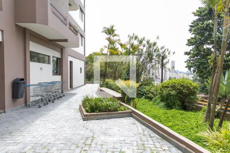 Apartamento à venda com 254m², 3 quartos e 2 vagasÁrea comum