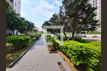 Apartamento à venda com 70m², 3 quartos e 1 vagaÁrea comum