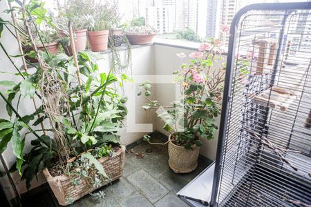 Apartamento à venda com 196m², 3 quartos e 2 vagasVaranda Sala - Sala de Estar - Sala de Jantar