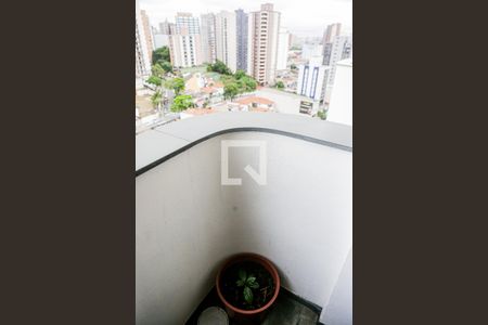 Apartamento à venda com 196m², 3 quartos e 2 vagasVaranda Suíte 2