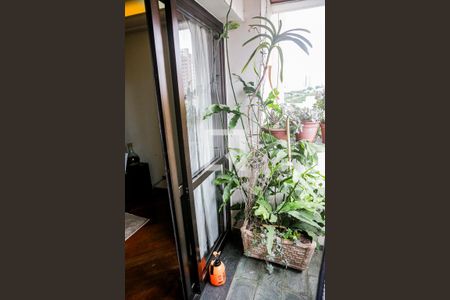 Apartamento à venda com 196m², 3 quartos e 2 vagasVaranda Sala - Sala de Estar - Sala de Jantar