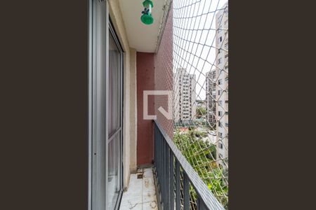 Varanda da Sala de apartamento para alugar com 3 quartos, 70m² em Jardim Celeste, São Paulo