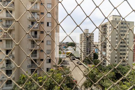 Apartamento para alugar com 70m², 3 quartos e 1 vaga Apartamento para alugar com 70m², 3 quartos e 1 vagaVista do Quarto 3