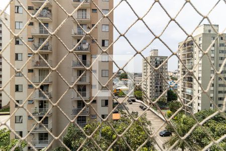 Apartamento para alugar com 70m², 3 quartos e 1 vaga Apartamento para alugar com 70m², 3 quartos e 1 vagaVista do Quarto 2