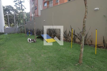 Apartamento para alugar com 78m², 2 quartos e 1 vagaEspaço Pet