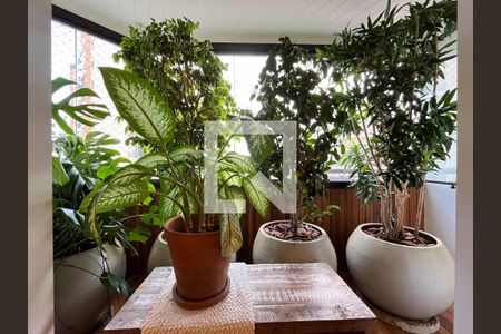 Varanda da Sala de apartamento para alugar com 3 quartos, 110m² em Mirandópolis, São Paulo