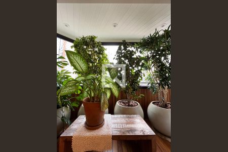 Varanda da Sala de apartamento para alugar com 3 quartos, 110m² em Mirandópolis, São Paulo