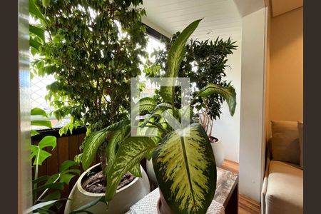 Varanda da Sala de apartamento para alugar com 3 quartos, 110m² em Mirandópolis, São Paulo