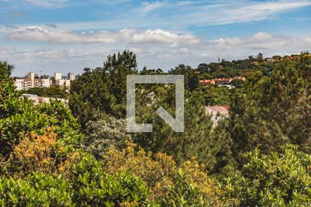 Apartamento para alugar com 2 quartos, 49m² em Vila Nova, Porto Alegre