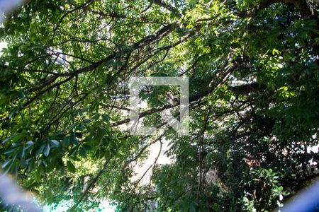 Casa à venda com 1100m², 6 quartos e 15 vagasVista