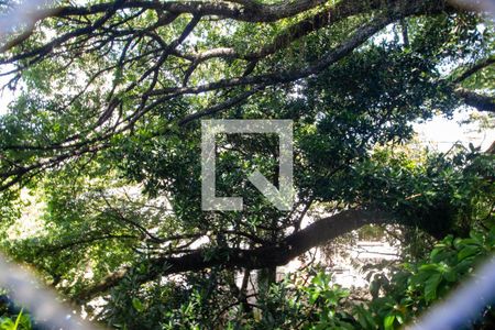 Casa à venda com 1100m², 6 quartos e 15 vagasVista