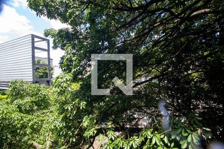 Casa à venda com 1100m², 6 quartos e 15 vagasVista