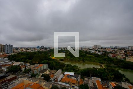 Vista da varanda gourmet de apartamento à venda com 5 quartos, 256m² em Vila Assunção, Santo André