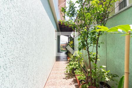 Apartamento à venda com 161m², 3 quartos e 5 vagasQuintal