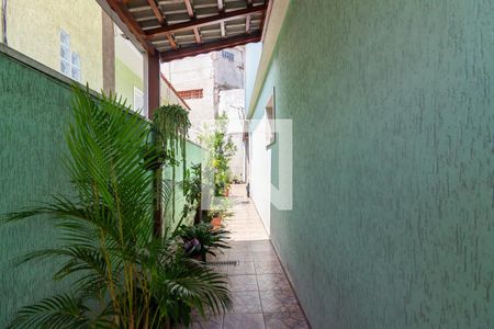 Apartamento à venda com 161m², 3 quartos e 5 vagasQuintal