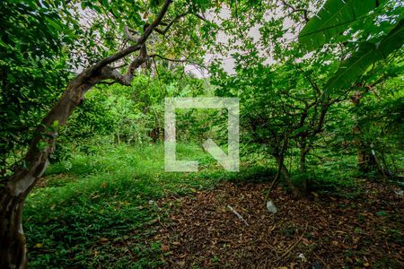 Casa à venda com 200m², 5 quartos e 4 vagasQuintal