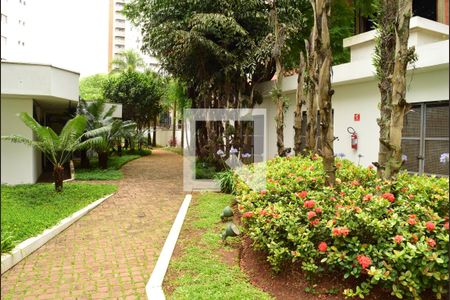 Apartamento para alugar com 30m², 1 quarto e 1 vagaJardim