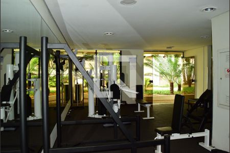 Apartamento para alugar com 30m², 1 quarto e 1 vagaFitness