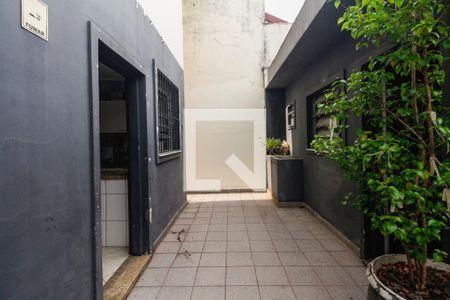 Casa para alugar com 150m², 3 quartos e 3 vagasQuintal e Churrasqueira 