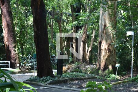 Apartamento à venda com 185m², 3 quartos e 3 vagasÁrea comum