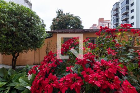 Apartamento para alugar com 70m², 2 quartos e sem vagaVista do Quarto 1
