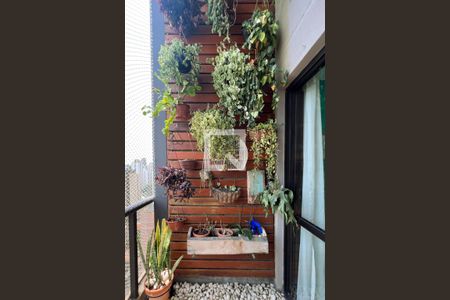 Apartamento para alugar com 75m², 2 quartos e 2 vagasSacada