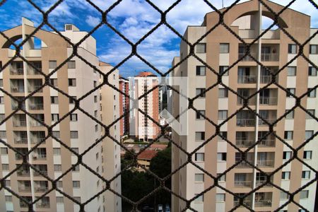 Quarto 1 (vista) de apartamento para alugar com 3 quartos, 75m² em Vila Morumbi, São Paulo