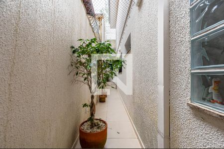 Casa para alugar com 320m², 2 quartos e 1 vagaQuintal