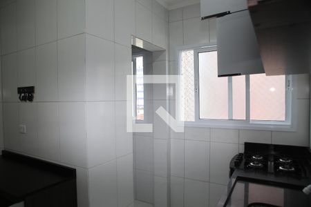 Cozinha de apartamento para alugar com 2 quartos, 50m² em Nova Mirim, Praia Grande