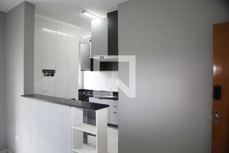Cozinha de apartamento para alugar com 2 quartos, 50m² em Nova Mirim, Praia Grande