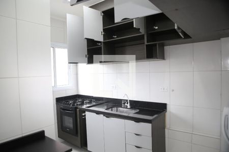 Cozinha de apartamento para alugar com 2 quartos, 50m² em Nova Mirim, Praia Grande