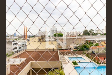 Apartamento para alugar com 57m², 2 quartos e 1 vaga Apartamento para alugar com 57m², 2 quartos e 1 vagaQuarto - VIsta