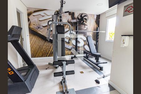 Apartamento para alugar com 57m², 2 quartos e 1 vaga Apartamento para alugar com 57m², 2 quartos e 1 vagaÁrea comum - Academia