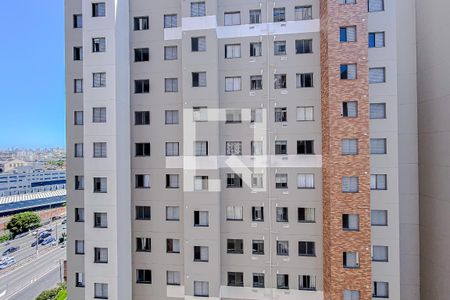 Apartamento para alugar com 23m², 1 quarto e sem vagavista da Área de Serviço