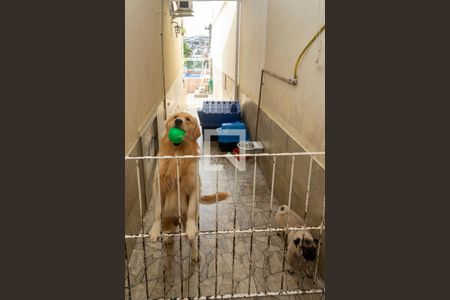 Casa à venda com 250m², 5 quartos e 3 vagas