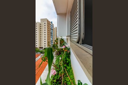 Apartamento para alugar com 190m², 3 quartos e 5 vagasSuíte 2