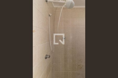 Banheiro de apartamento para alugar com 1 quarto, 34m² em Vila Ipiranga, Porto Alegre