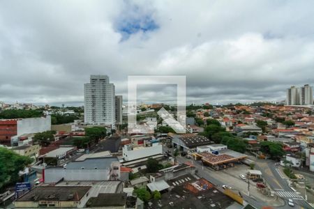 Apartamento para alugar com 115m², 3 quartos e 1 vaga Apartamento para alugar com 115m², 3 quartos e 1 vagaVista da Suíte
