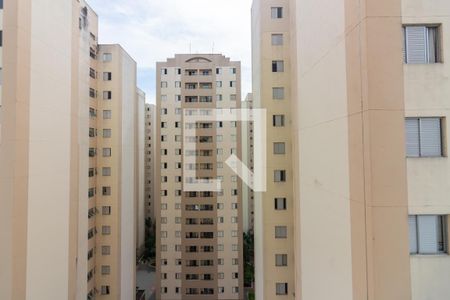Apartamento à venda com 87m², 3 quartos e 1 vagaVista 