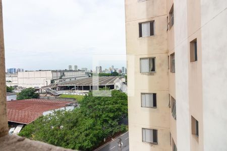 Apartamento à venda com 87m², 3 quartos e 1 vagaVista 