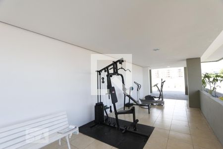 Apartamento para alugar com 75m², 1 quarto e 2 vagas Apartamento para alugar com 75m², 1 quarto e 2 vagasÁrea comum - Academia