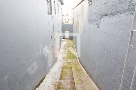 Casa à venda com 405m², 2 quartos e 2 vagasQuintal