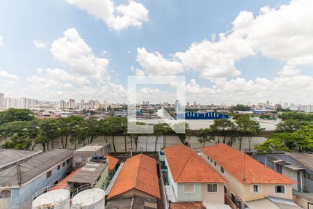 Vista da Suíte   de apartamento para alugar com 3 quartos, 62m² em Vila Guilherme, São Paulo