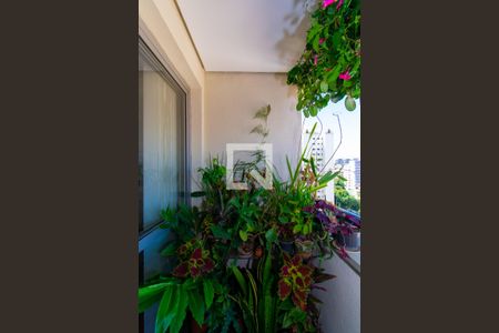 Varanda da Sala de apartamento à venda com 3 quartos, 72m² em Jardim da Gloria, São Paulo