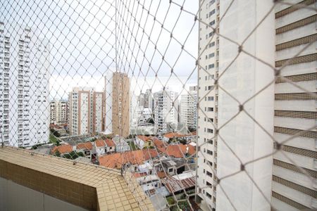 Apartamento à venda com 205m², 4 quartos e 4 vagasVista da suíte 1
