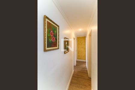 Corredor de apartamento para alugar com 3 quartos, 83m² em Vila Suzana, São Paulo