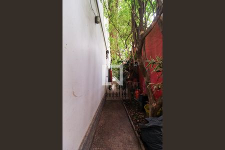 Casa à venda com 340m², 5 quartos e 2 vagasQuintal
