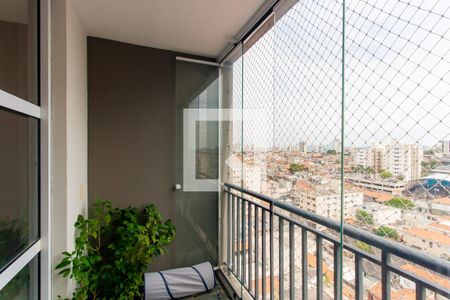 Varanda da Sala de apartamento à venda com 3 quartos, 79m² em Vila Graciosa, São Paulo